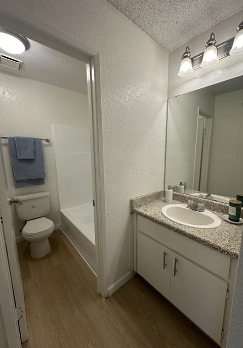 a bathroom with a sink and a toilet and a shower